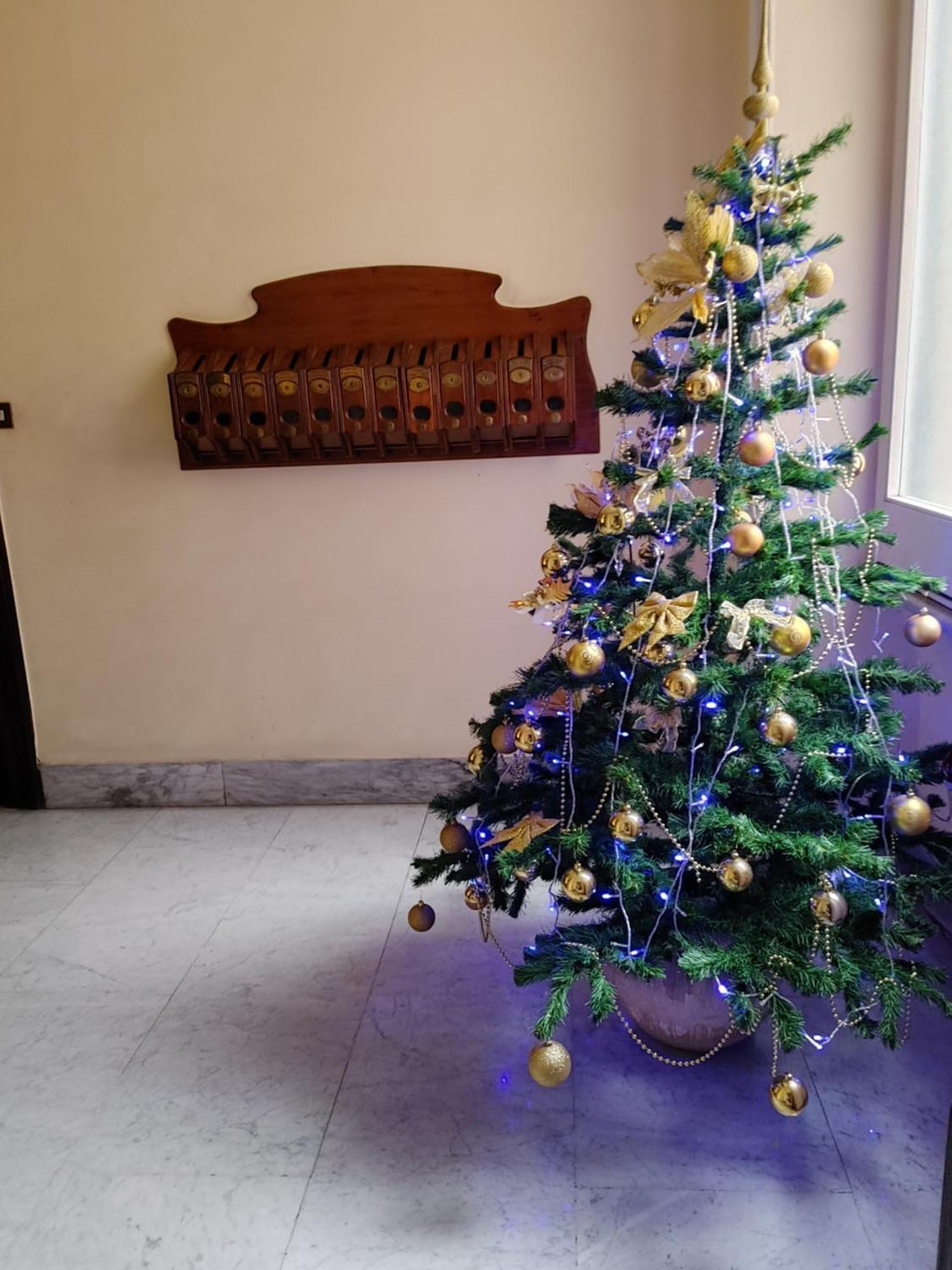 רומא Studio Flat Trastevere מראה חיצוני תמונה