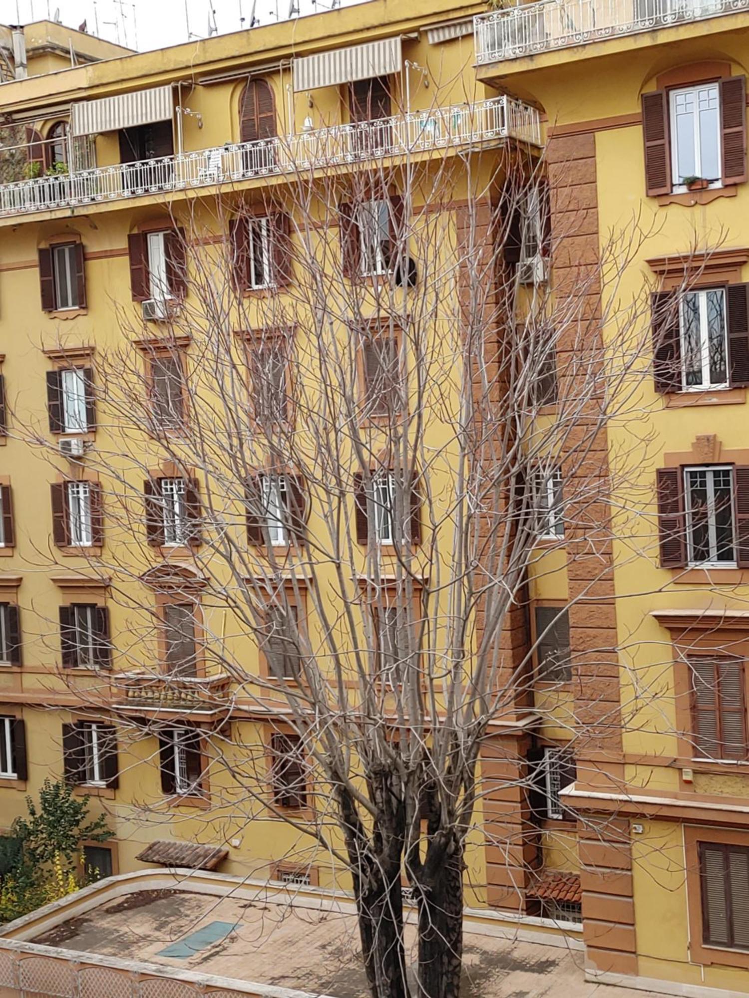 רומא Studio Flat Trastevere מראה חיצוני תמונה